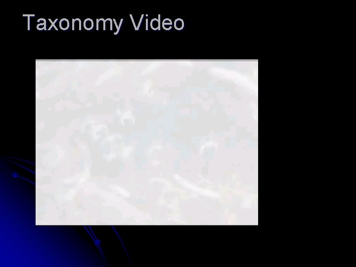 Taxonomy Video 