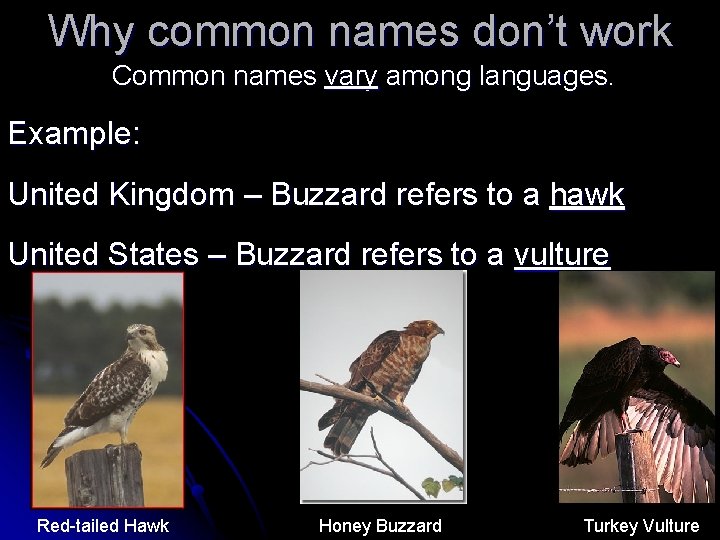 Why common names don’t work Common names vary among languages. Example: United Kingdom –