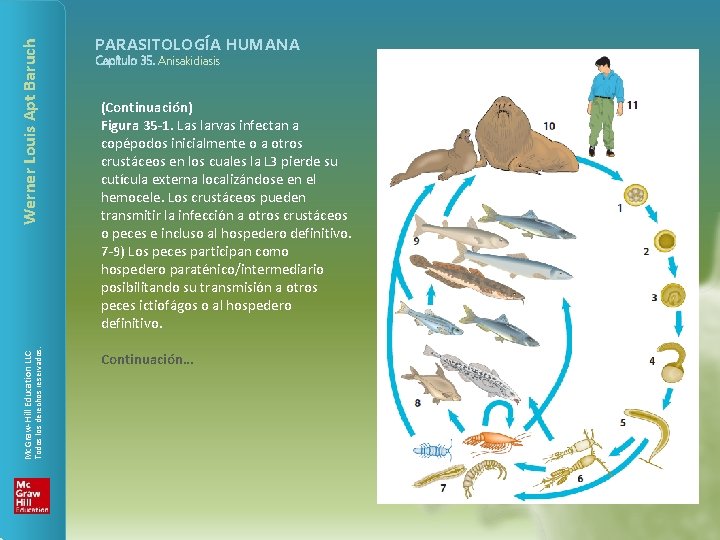 Werner Louis Apt Baruch Todos los derechos reservados. Mc. Graw-Hill Education LLC PARASITOLOGÍA HUMANA