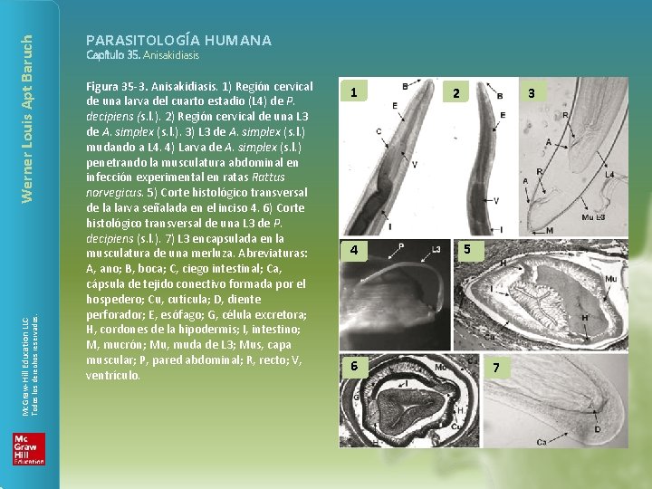 Werner Louis Apt Baruch Todos los derechos reservados. Mc. Graw-Hill Education LLC PARASITOLOGÍA HUMANA