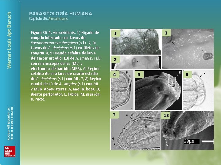 Werner Louis Apt Baruch Todos los derechos reservados. Mc. Graw-Hill Education LLC PARASITOLOGÍA HUMANA