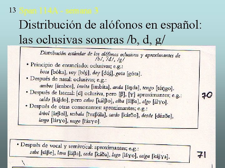 13 Span 114 A - semana 3 Distribución de alófonos en español: las oclusivas