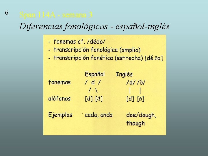 6 Span 114 A - semana 3 Diferencias fonológicas - español-inglés 