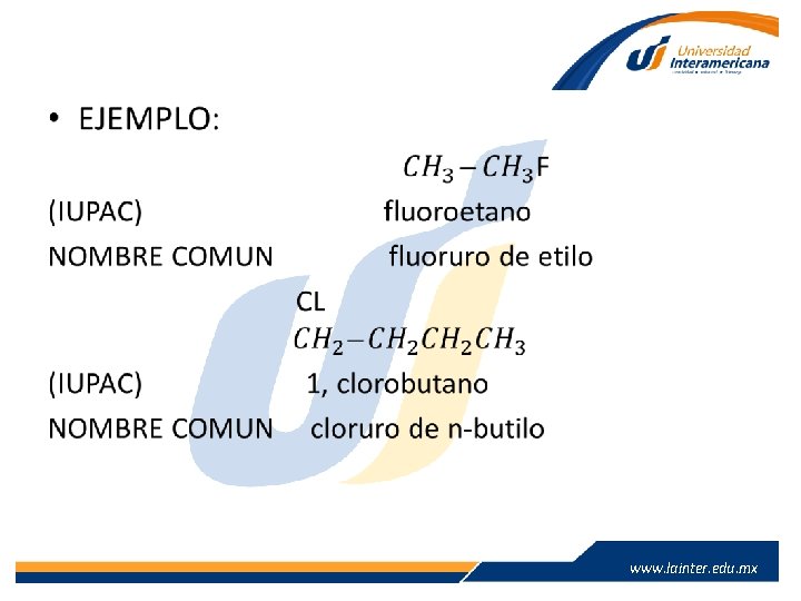 • www. lainter. edu. mx • www. lainter. edu. mx