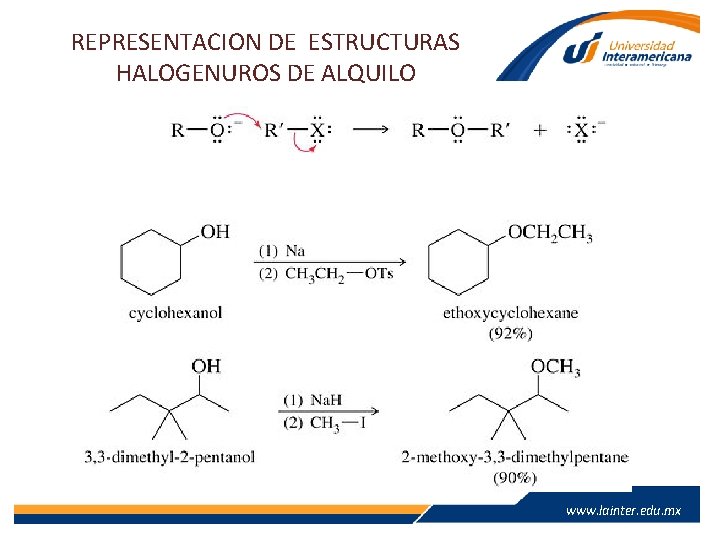 REPRESENTACION DE ESTRUCTURAS HALOGENUROS DE ALQUILO www. lainter. edu. mx REPRESENTACION DE ESTRUCTURAS HALOGENUROS DE ALQUILO www. lainter. edu. mx
