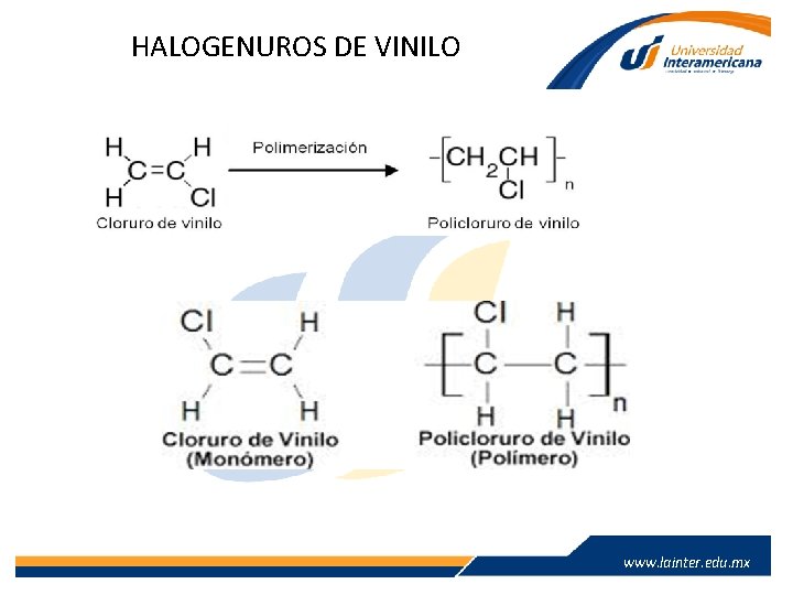HALOGENUROS DE VINILO www. lainter. edu. mx HALOGENUROS DE VINILO www. lainter. edu. mx