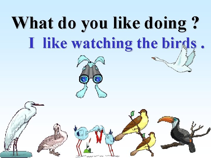 What do you like doing ? I like watching the birds. 