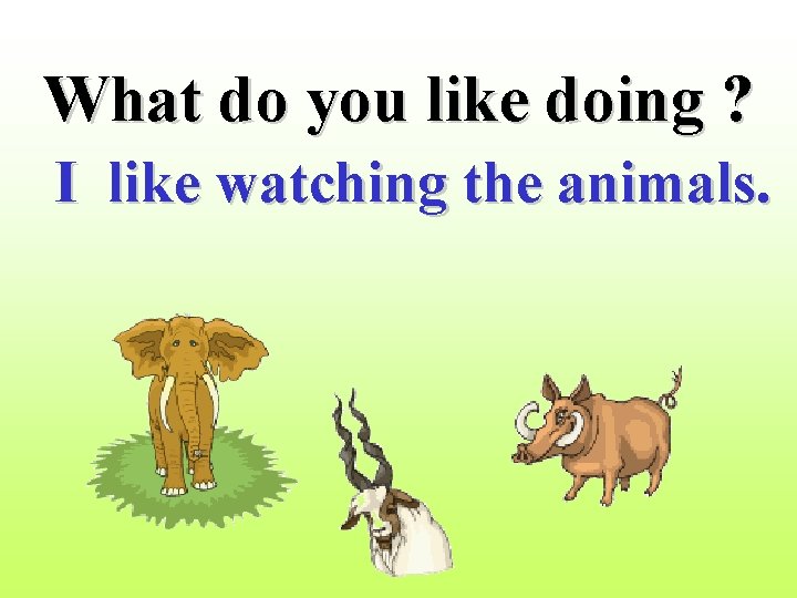 What do you like doing ? I like watching the animals. 