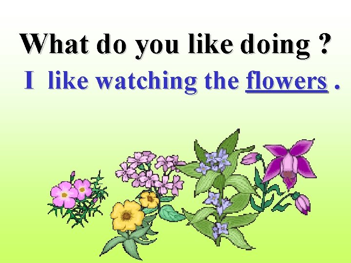What do you like doing ? I like watching the flowers. 