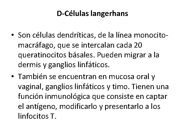 D-Células langerhans • Son células dendríticas, de la línea monocitomacráfago, que se intercalan cada