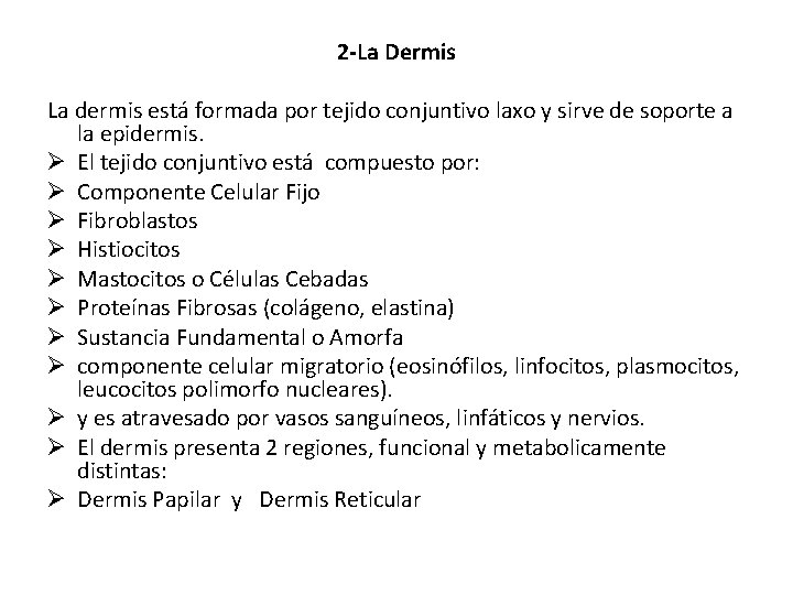 2 -La Dermis La dermis está formada por tejido conjuntivo laxo y sirve de