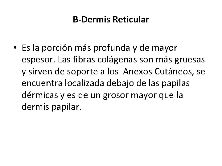 B-Dermis Reticular • Es la porción más profunda y de mayor espesor. Las fibras