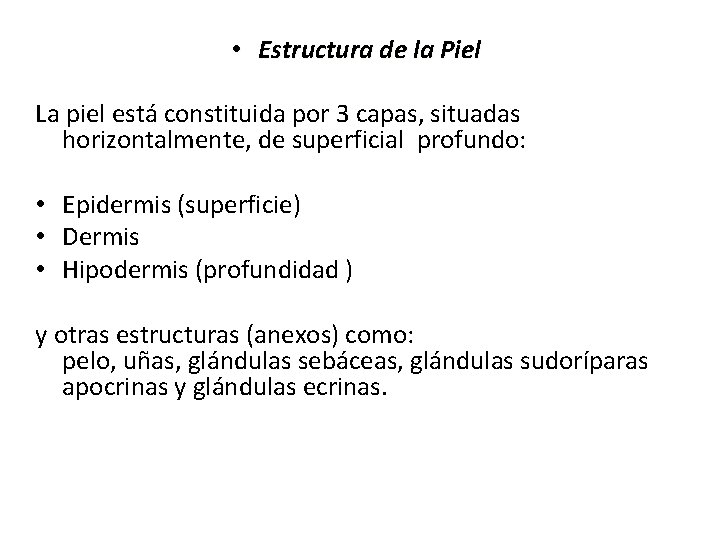  • Estructura de la Piel La piel está constituida por 3 capas, situadas