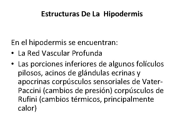 Estructuras De La Hipodermis En el hipodermis se encuentran: • La Red Vascular Profunda