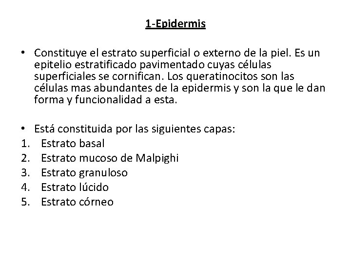 1 -Epidermis • Constituye el estrato superficial o externo de la piel. Es un