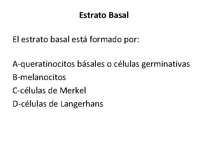 Estrato Basal El estrato basal está formado por: A-queratinocitos básales o células germinativas B-melanocitos