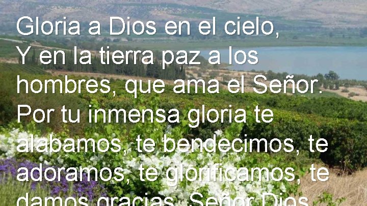 Gloria a Dios en el cielo, Y en la tierra paz a los hombres,