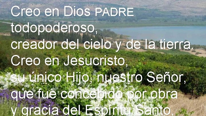 Creo en Dios PADRE todopoderoso, creador del cielo y de la tierra. Creo en