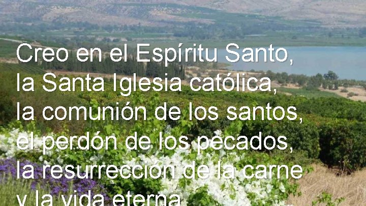 Creo en el Espíritu Santo, la Santa Iglesia católica, la comunión de los santos,