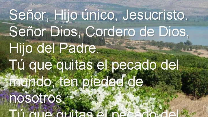 Señor, Hijo único, Jesucristo. Señor Dios, Cordero de Dios, Hijo del Padre. Tú que