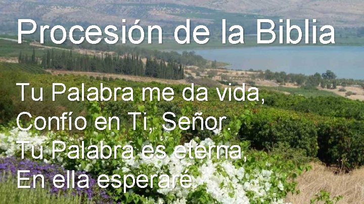 Procesión de la Biblia Tu Palabra me da vida, Confío en Ti, Señor. Tu