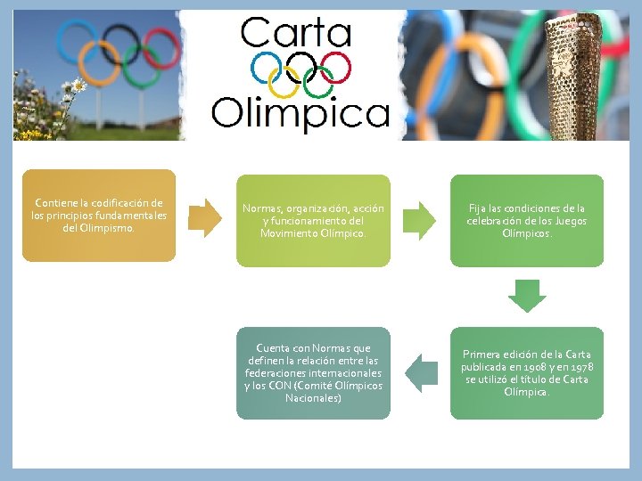 Contiene la codificación de los principios fundamentales del Olimpismo. Normas, organización, acción y funcionamiento