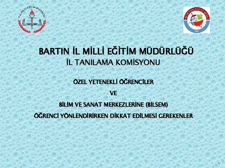 BARTIN İL MİLLİ EĞİTİM MÜDÜRLÜĞÜ İL TANILAMA KOMİSYONU ÖZEL YETENEKLİ ÖĞRENCİLER VE BİLİM VE