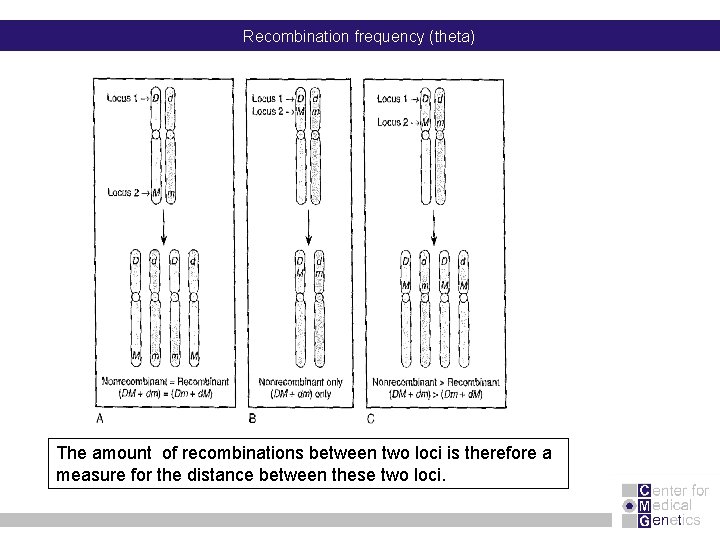 Recombination frequency (theta) The amount of recombinations between two loci is therefore a measure
