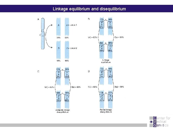 Linkage equilibrium and disequilibrium 