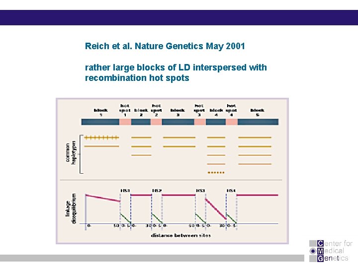 Reich et al. Nature Genetics May 2001 rather large blocks of LD interspersed with