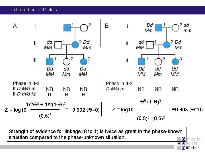 Interpreting LOD plots 1/2Ɵ 3 Z = log 10 + 1/2(1 -Ɵ)3 (0. 5)3