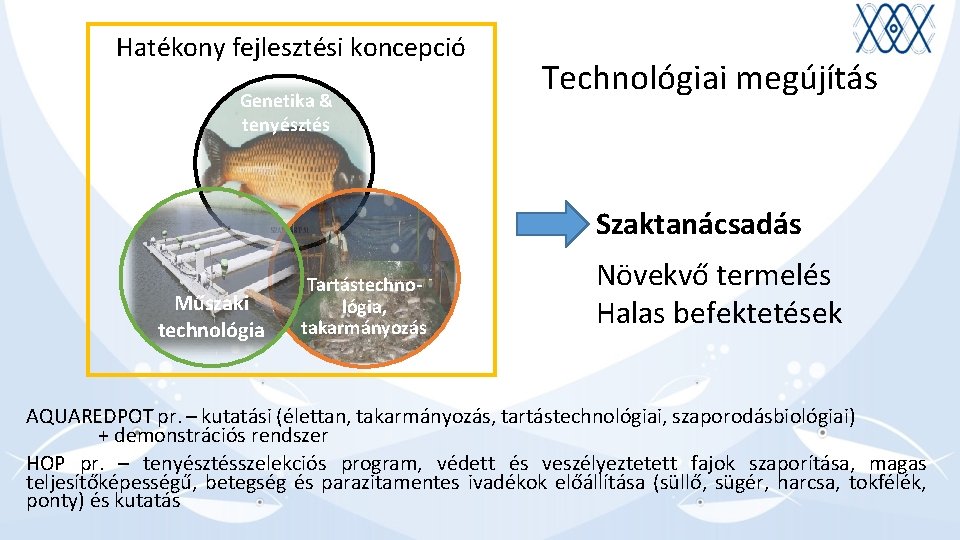 Hatékony fejlesztési koncepció Genetika & tenyésztés Technológiai megújítás Szaktanácsadás Műszaki technológia Tartástechnológia, takarmányozás Növekvő