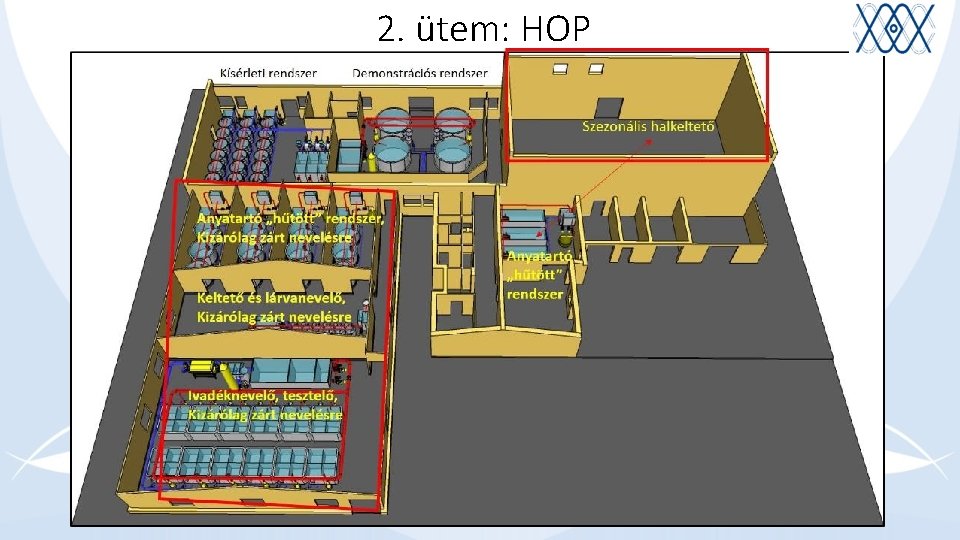 2. ütem: HOP 