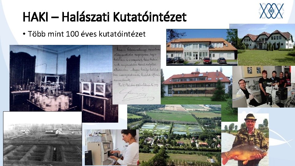 HAKI – Halászati Kutatóintézet • Több mint 100 éves kutatóintézet 