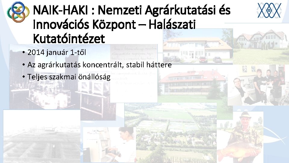 NAIK-HAKI : Nemzeti Agrárkutatási és Innovációs Központ – Halászati Kutatóintézet • 2014 január 1