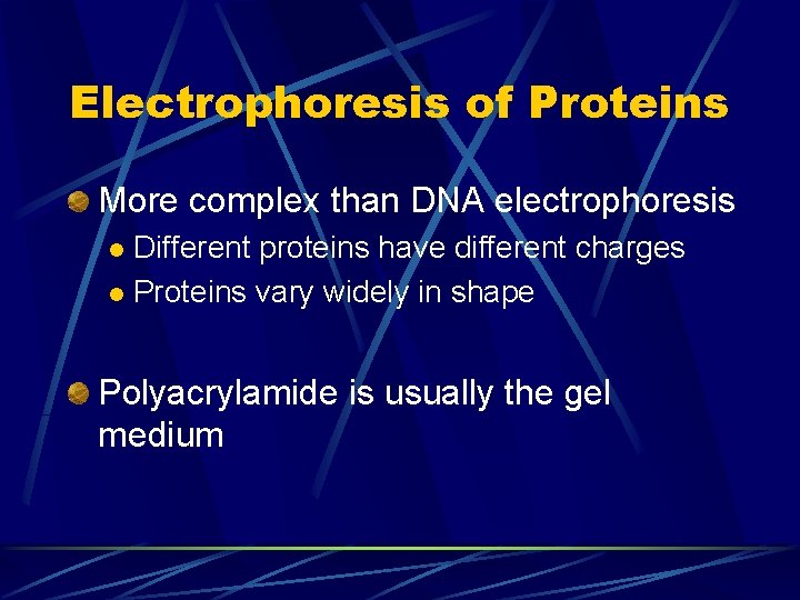 Electrophoresis of Proteins More complex than DNA electrophoresis Different proteins have different charges l Electrophoresis of Proteins More complex than DNA electrophoresis Different proteins have different charges l