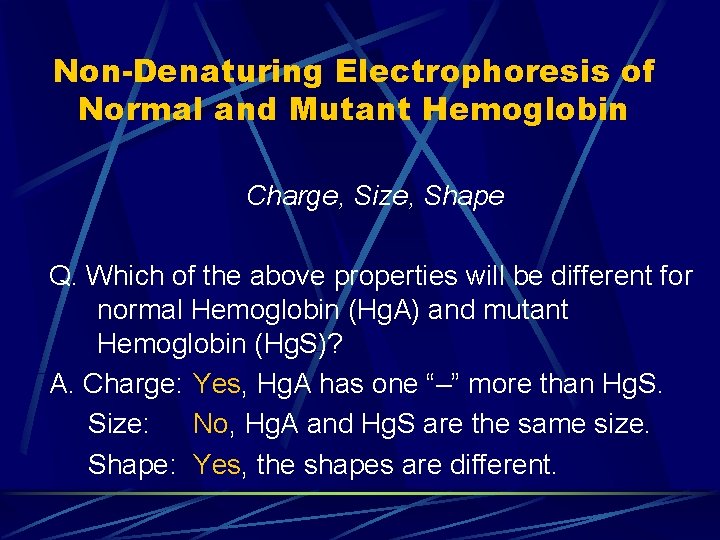 Non-Denaturing Electrophoresis of Normal and Mutant Hemoglobin Charge, Size, Shape Q. Which of the Non-Denaturing Electrophoresis of Normal and Mutant Hemoglobin Charge, Size, Shape Q. Which of the