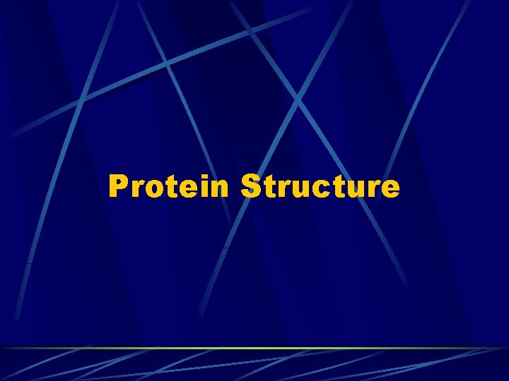 Protein Structure Protein Structure