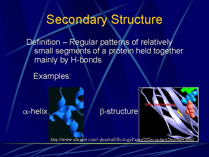 Secondary Structure Definition – Regular patterns of relatively small segments of a protein held Secondary Structure Definition – Regular patterns of relatively small segments of a protein held