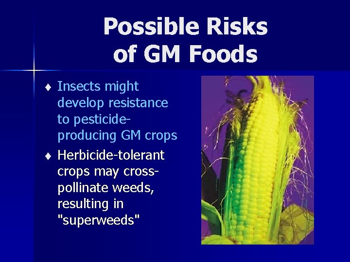 Possible Risks of GM Foods t t Insects might develop resistance to pesticideproducing GM