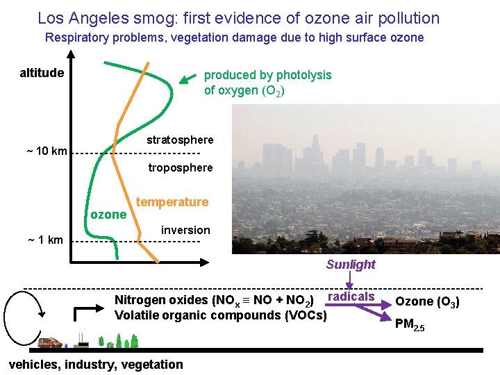 Los Angeles smog: first evidence of ozone air pollution Respiratory problems, vegetation damage due