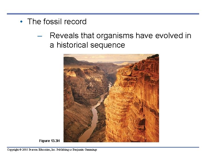  • The fossil record – Reveals that organisms have evolved in a historical