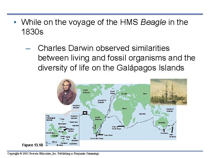  • While on the voyage of the HMS Beagle in the 1830 s
