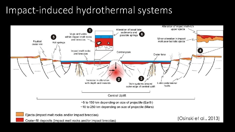 Impact-induced hydrothermal systems 