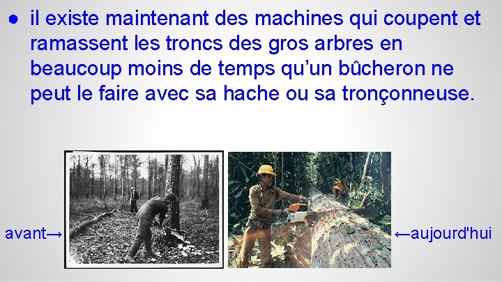 ● il existe maintenant des machines qui coupent et ramassent les troncs des gros