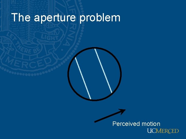 The aperture problem Perceived motion The aperture problem Perceived motion