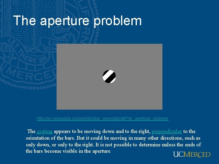 The aperture problem http: //en. wikipedia. org/wiki/Motion_perception#The_aperture_problem The grating appears to be moving down The aperture problem http: //en. wikipedia. org/wiki/Motion_perception#The_aperture_problem The grating appears to be moving down