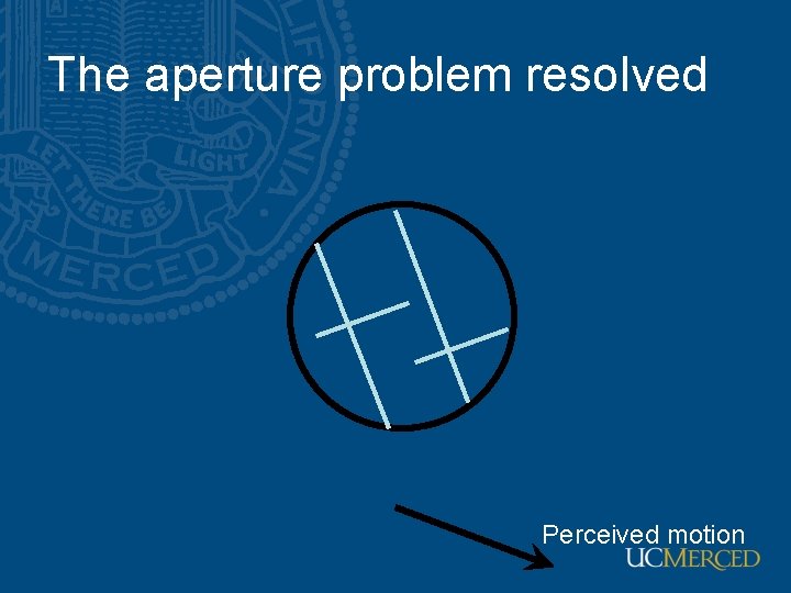 The aperture problem resolved Perceived motion The aperture problem resolved Perceived motion
