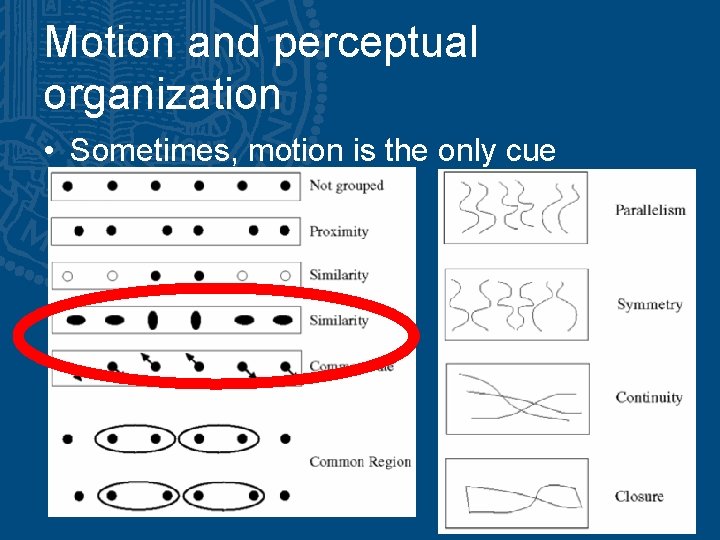 Motion and perceptual organization • Sometimes, motion is the only cue Motion and perceptual organization • Sometimes, motion is the only cue