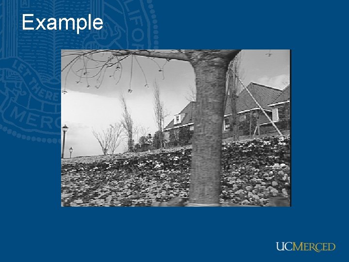 Example Example